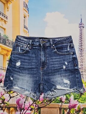 Risen Distressed High Waist Denim Jean Shorts Size Medium